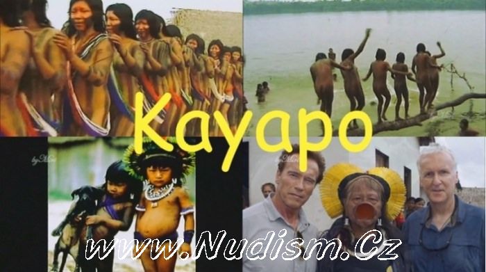 [Image: 1612187557_1586254162_1429742502_602v-kayapo-1.jpg]